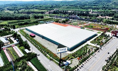 黄土地绽放美丽经济 临夏百益现代农业科技有限责任公司技术开发侧记