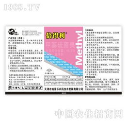 施普乐速白美齿组 6天连续使用，科技点亮美白笑容